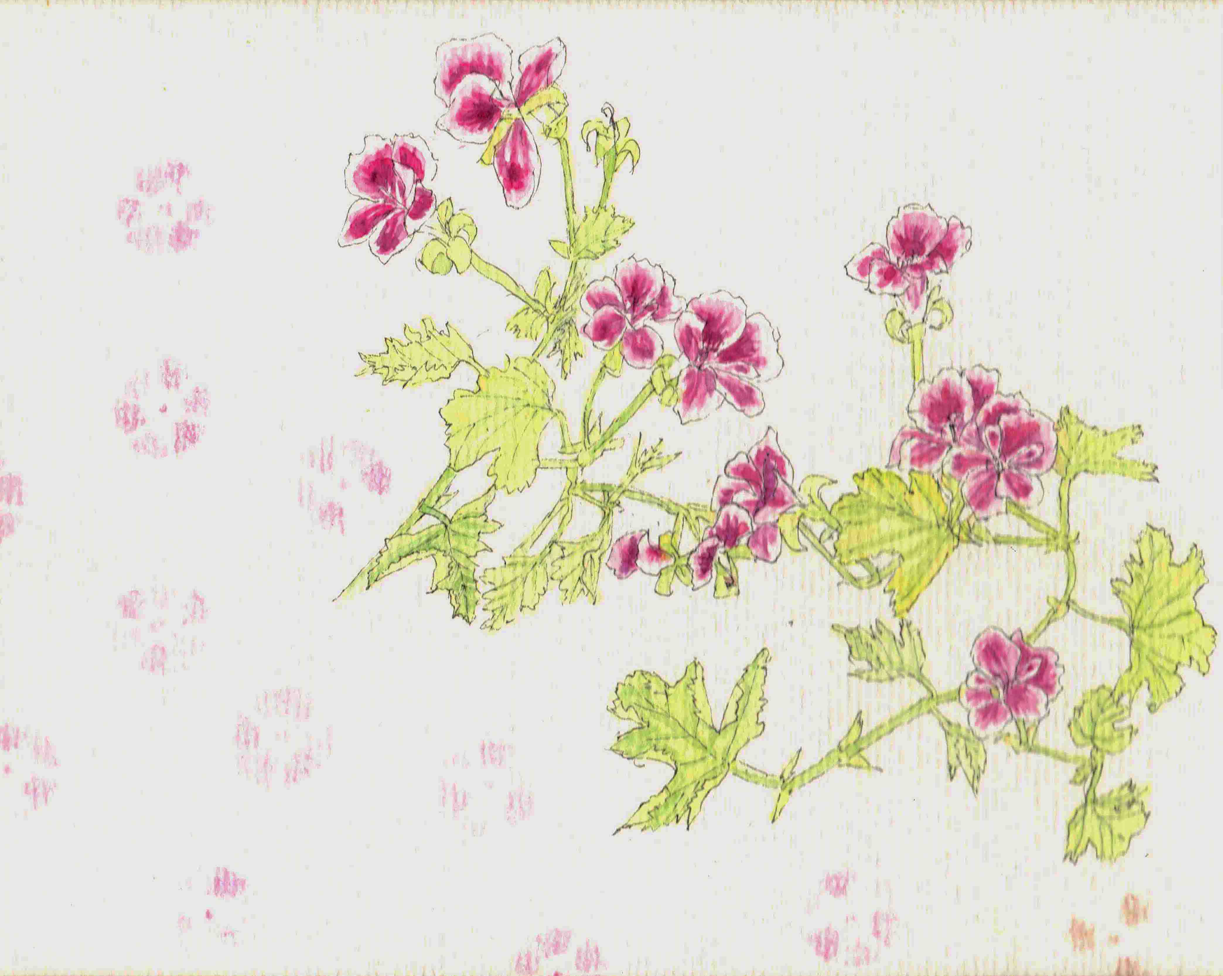 Misaki Kawabe, "Sprout 3," ink, watercolor and photo on paper, 14.8 x 21.0 cm, 2025