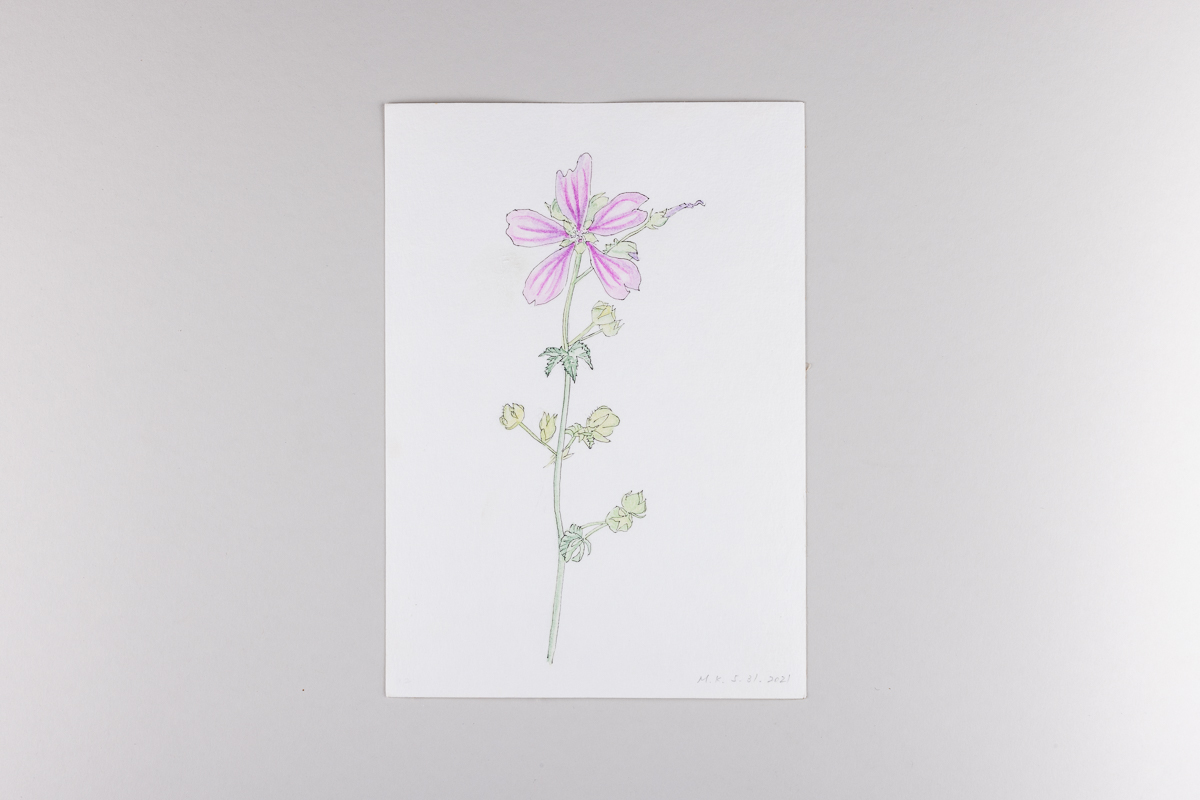 Misaki Kawabe, "Covid diary 10," ink and watercolor on paper, 21.0 x 14.8 cm, 2021