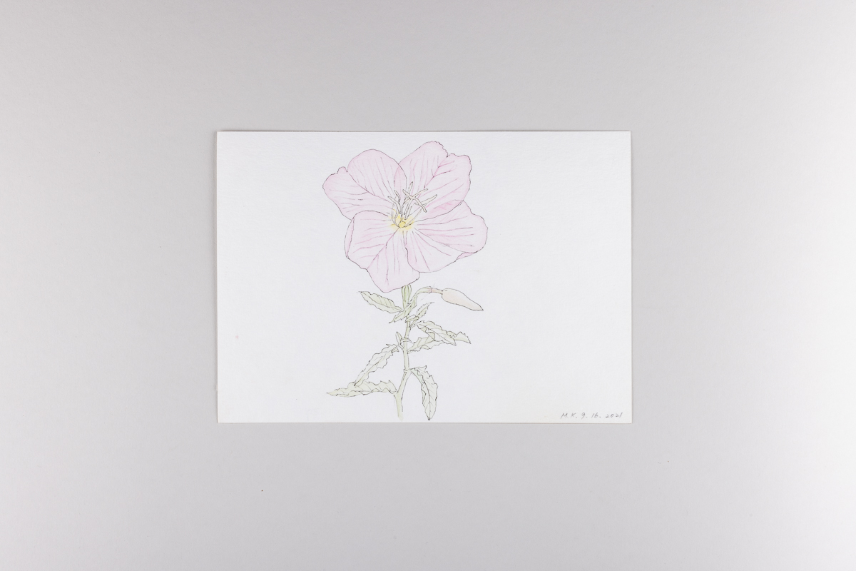 Misaki Kawabe, "Covid diary 11," ink and watercolor on paper, 14.8 x 21.0 cm, 2021