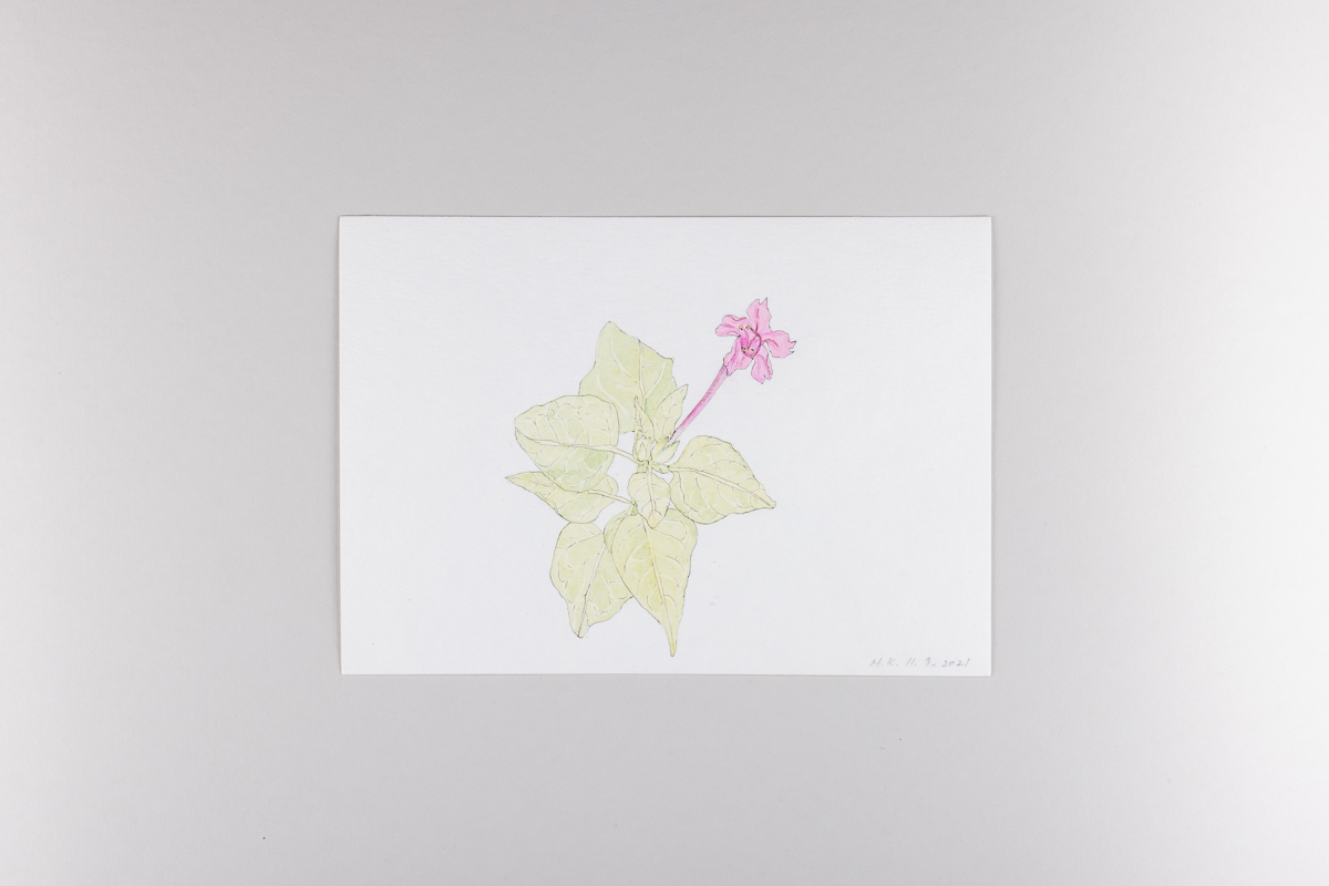 Misaki Kawabe, "Covid diary 15," ink and watercolor on paper, 14.8 x 21.0 cm, 2021