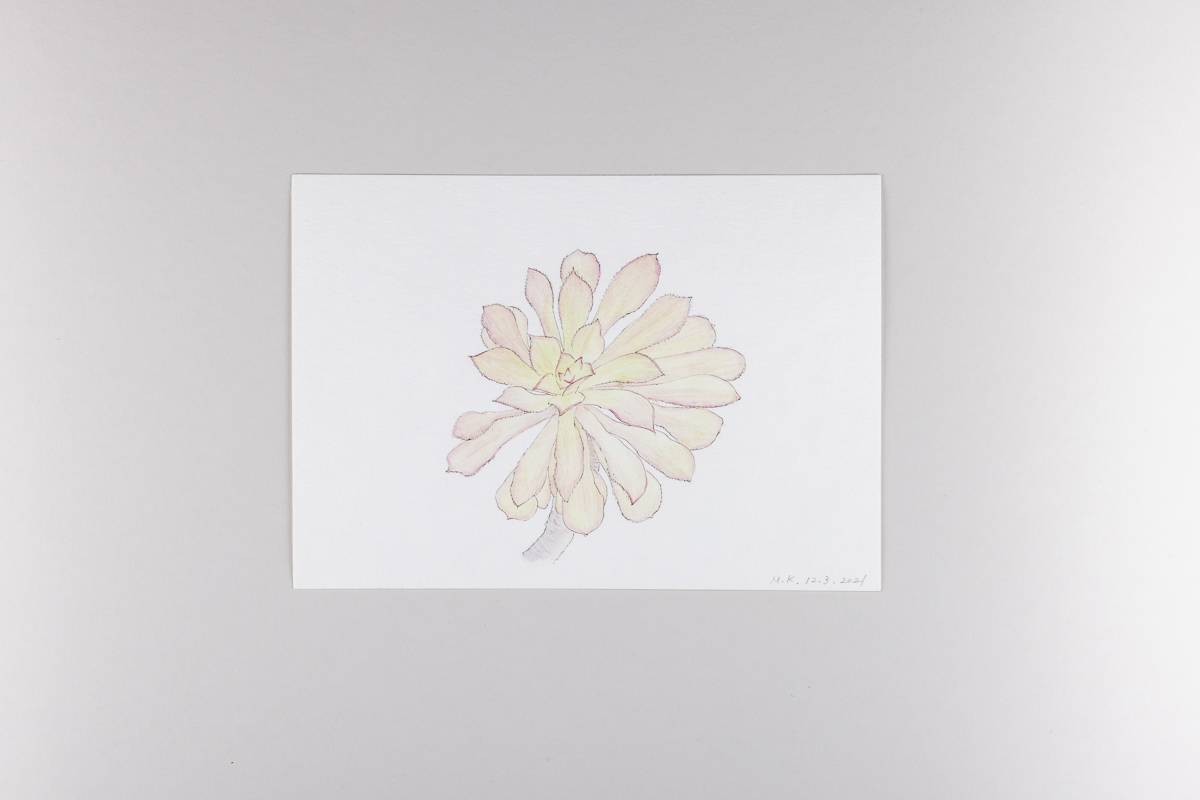 Misaki Kawabe, "Covid diary 16," ink and watercolor on paper, 14.8 x 21.0 cm, 2021