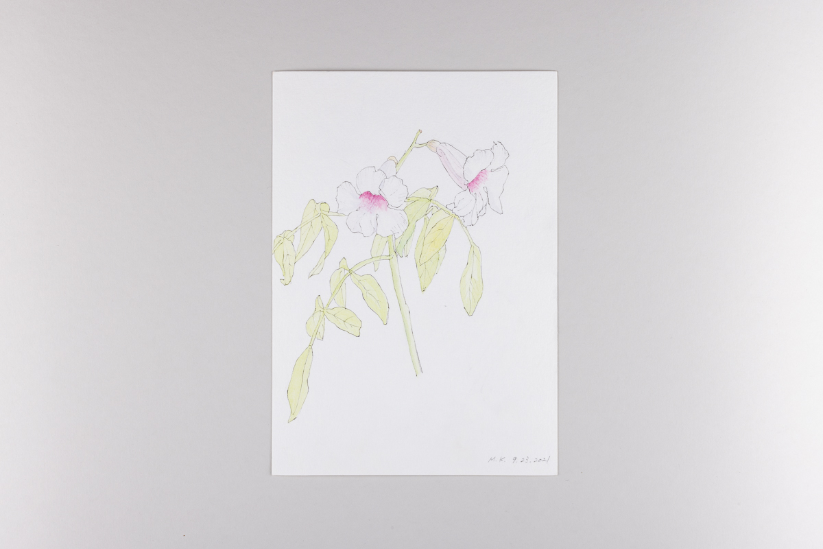 Misaki Kawabe, "Covid diary 17," ink and watercolor on paper, 21.0 x 14.8 cm, 2021