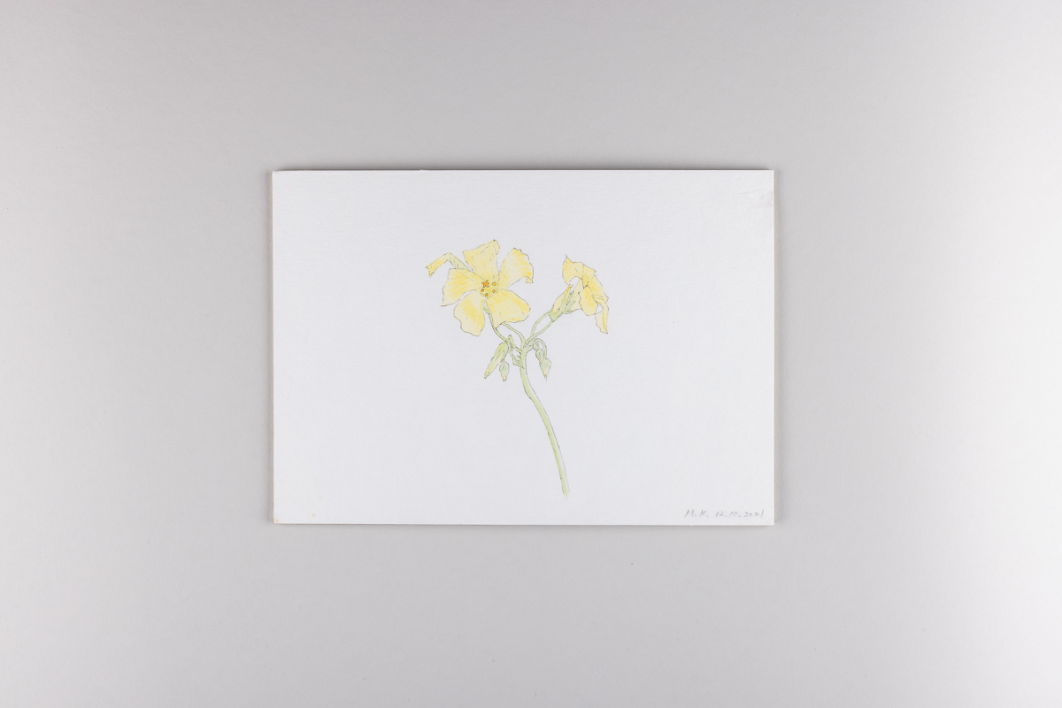 Misaki Kawabe, "Covid diary 2," ink and watercolor on paper, 14.8 x 21.0 cm, 2021