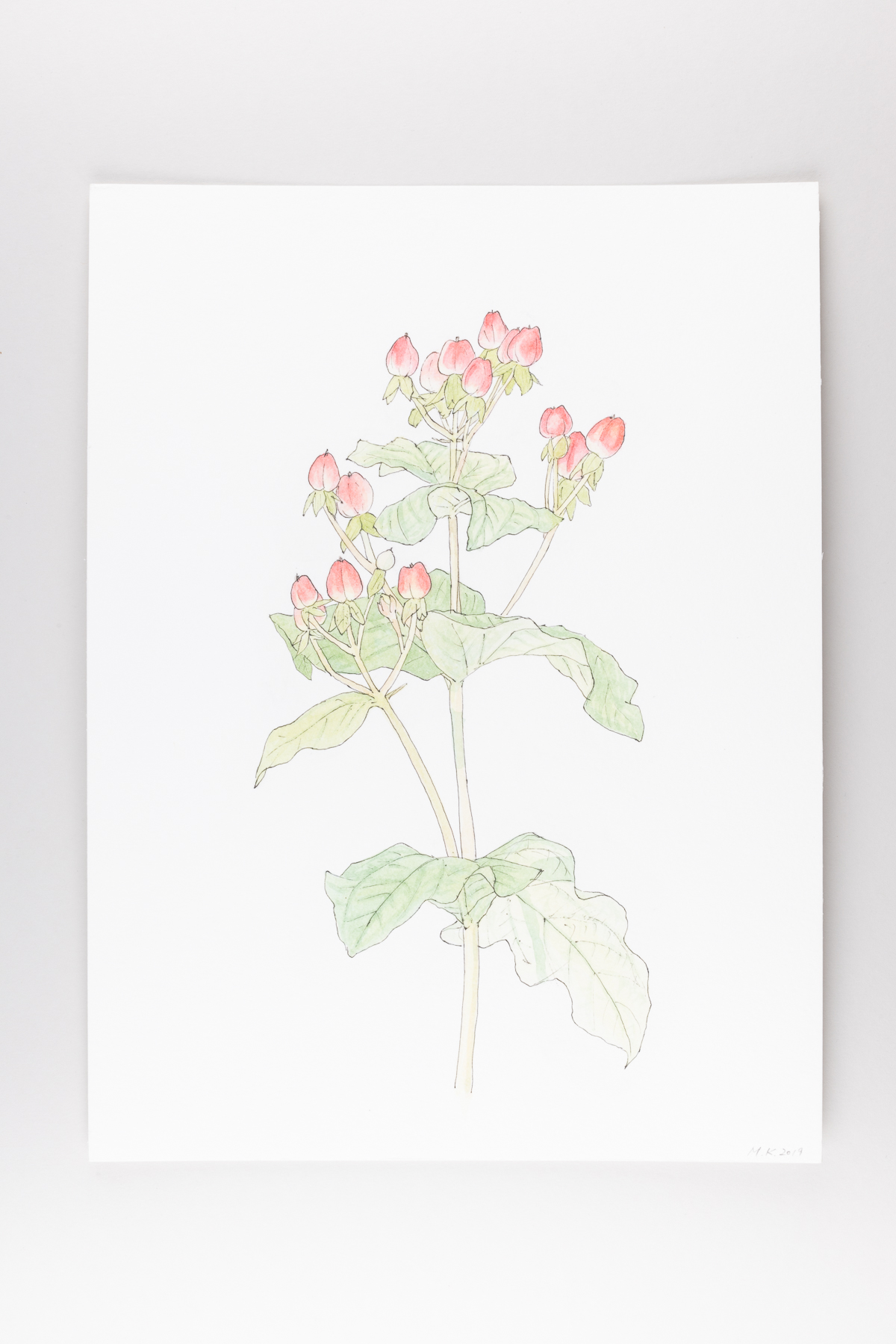 Misaki Kawabe, "C-diary 3," ink and watercolor on paper, 32.0 x 24.0 cm, 2020