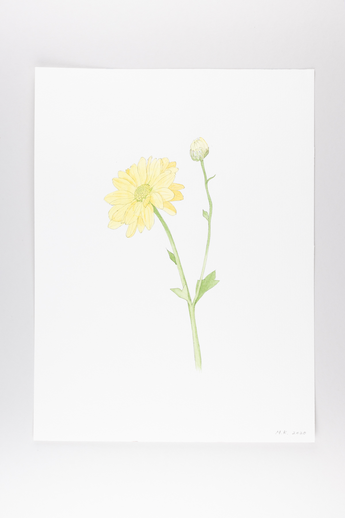 Misaki Kawabe, "C-diary 5," ink and watercolor on paper, 32.0 x 24.0 cm, 2020