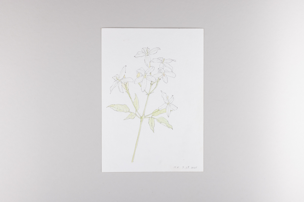 Misaki Kawabe, "Covid diary 3," ink and watercolor on paper, 21.0 x 14.8 cm, 2021