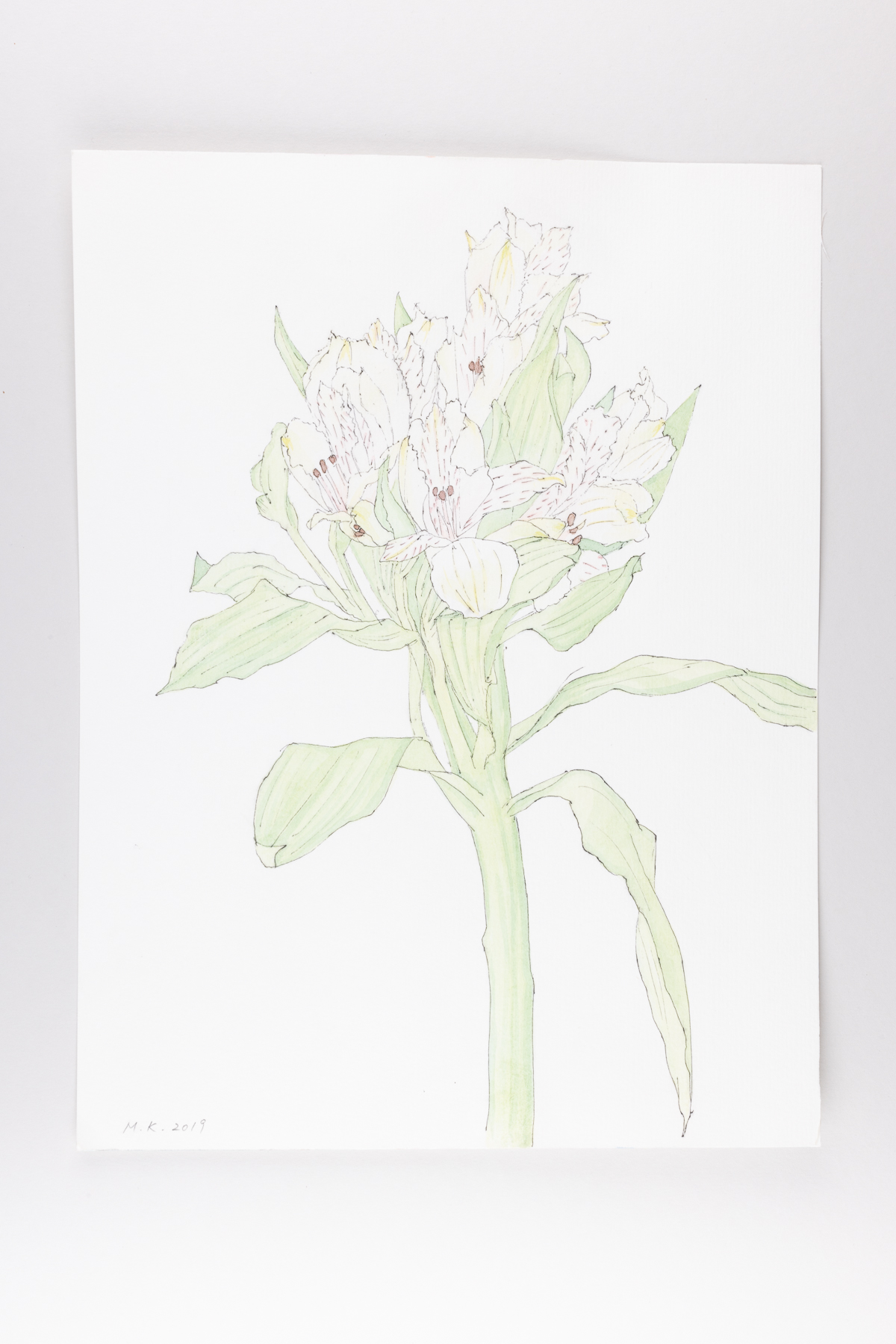 Misaki Kawabe, "C-diary 14," ink and watercolor on paper, 32.0 x 24.0 cm, 2019