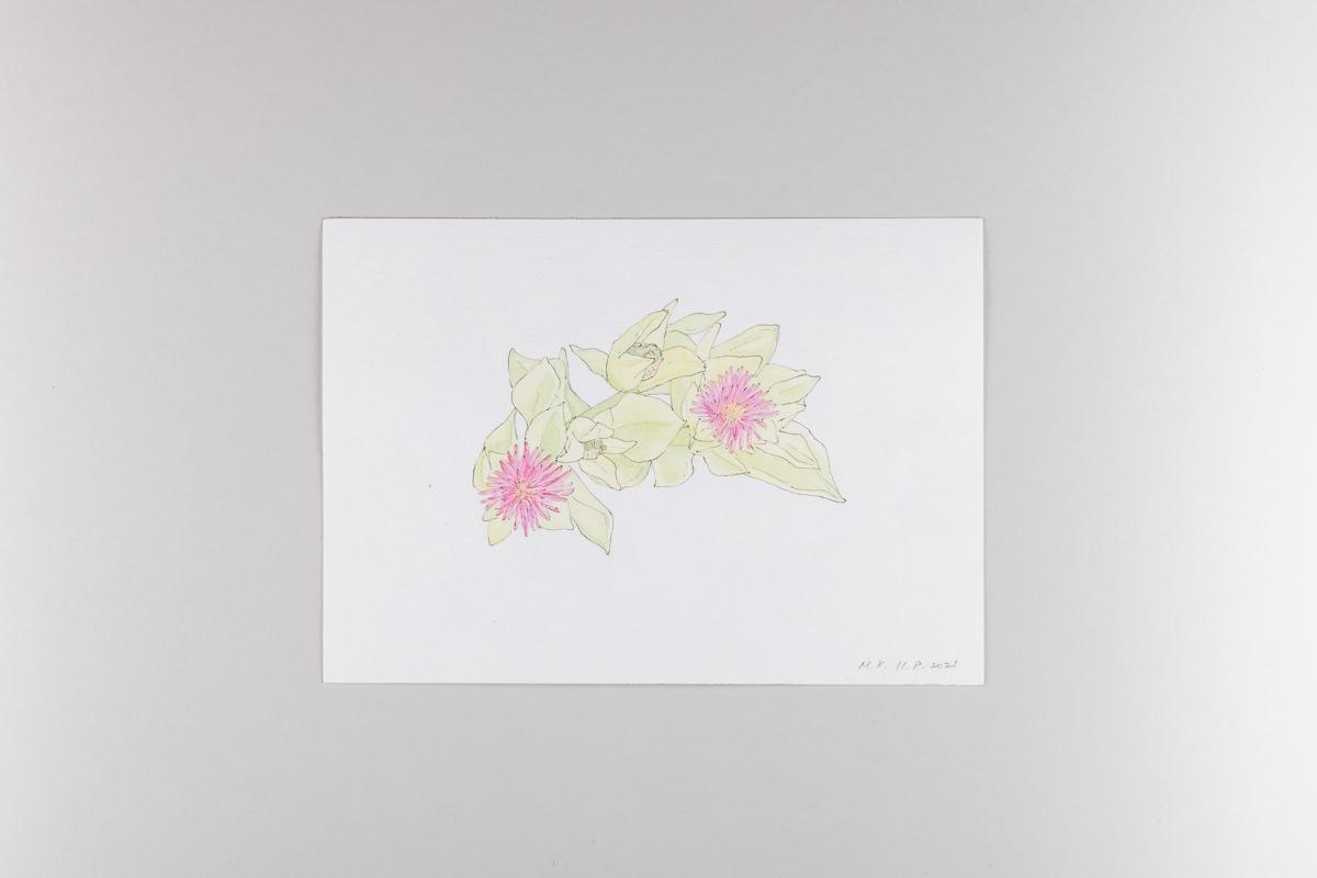 Misaki Kawabe, "Covid diary 5," ink and watercolor on paper, 14.8 x 21.0 cm, 2021