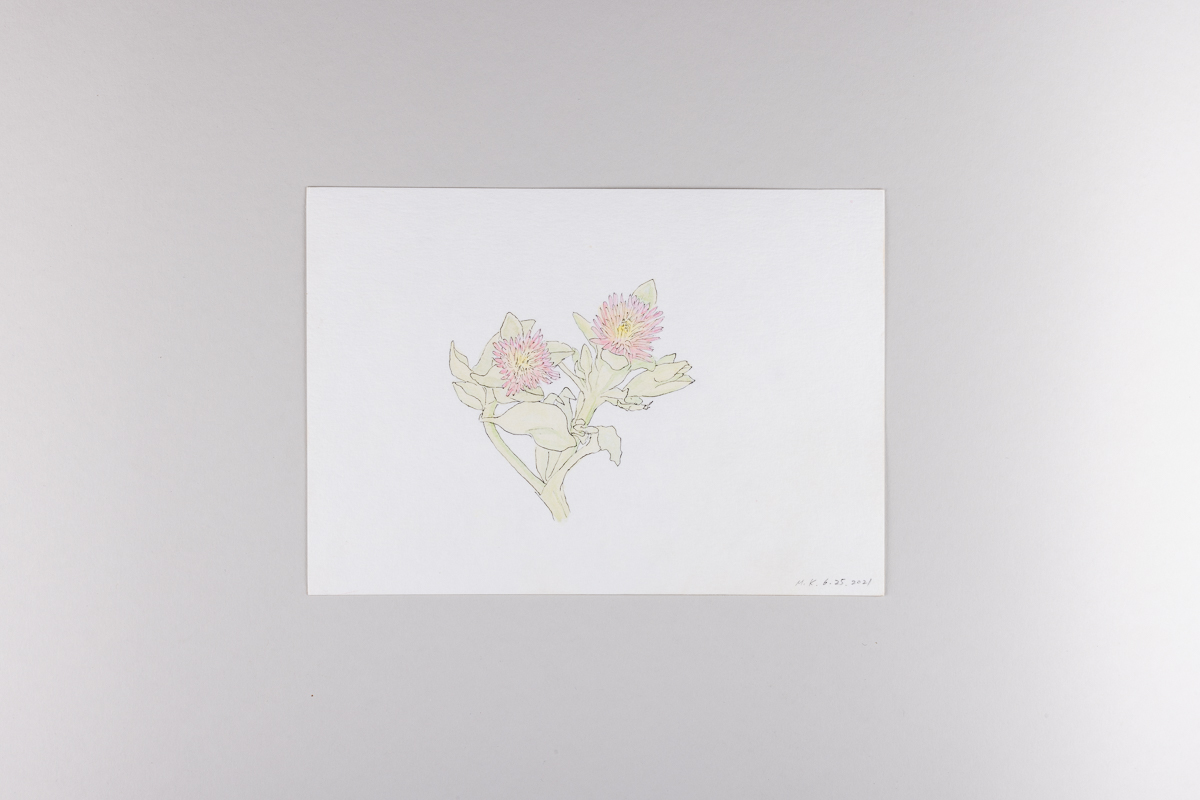 Misaki Kawabe, "Covid diary 9," ink and watercolor on paper, 14.8 x 21.0 cm, 2021